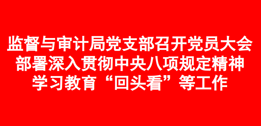 监督与审计局党支部召开党员大会??部署深入贯彻中央八项规定精神学习教育“回头看”等工作